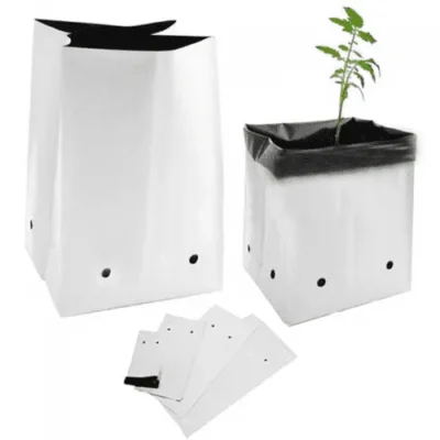 Túi Trồng Dưa Lưới PE – Giải Pháp Trồng Dưa Lưới Tiết Kiệm, Hiệu Quả