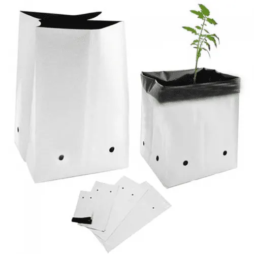 Túi Trồng Dưa Lưới PE – Giải Pháp Trồng Dưa Lưới Tiết Kiệm, Hiệu Quả