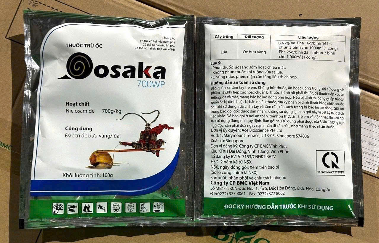 Ốc Osaka (oosaka 700WP)